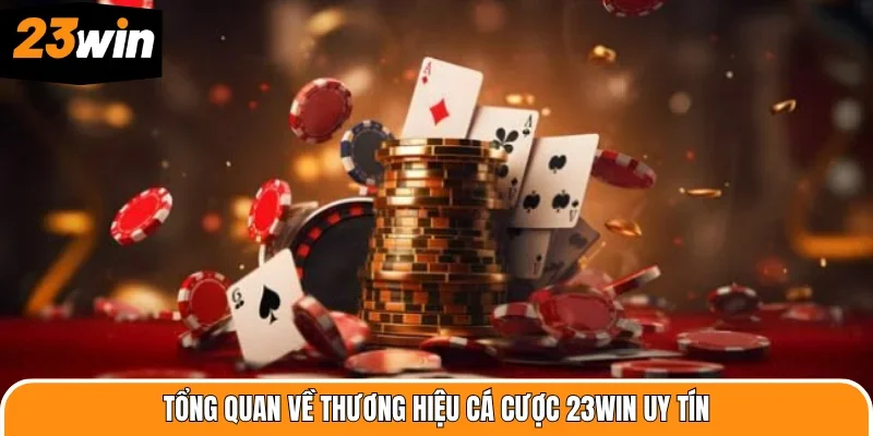 Tổng quan về thương hiệu cá cược 23WIN uy tín